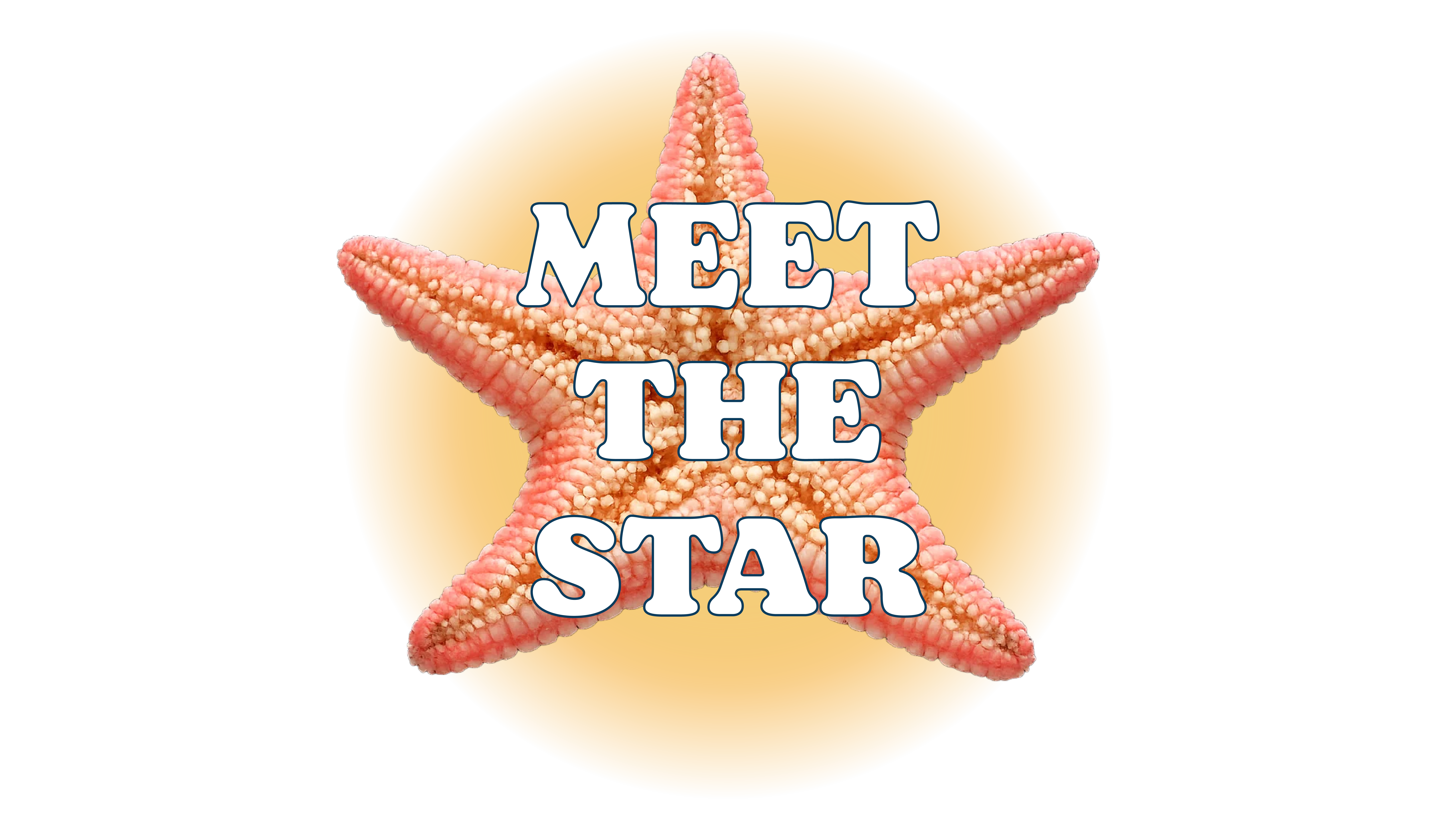 Meet the star